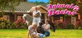 Animal Doctor Prices