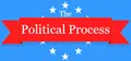 The Political Process