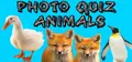 Photo Quiz - Animals Prices
