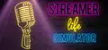 Streamer Life Simulator