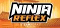 Ninja Reflex: Steamworks Edition