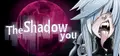The Shadow You Prices