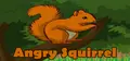 Angry Squirrel Prices