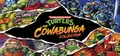 Teenage Mutant Ninja Turtles: The Cowabunga Collection Prices