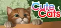 Cute Cats Prices