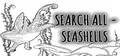 SEARCH ALL - SEASHELLS Prices