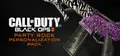 Call of Duty®: Black Ops II - Party Rock Personalization Pack