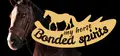 My Horse: Bonded Spirits Prices