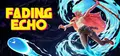 Fading Echo Prices
