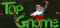 Top Gnome Prices