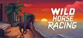 Wild Horse Racing Prices