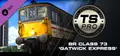 Train Simulator: BR Class 73 'Gatwick Express' Loco Add-On