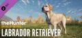 theHunter: Call of the Wild™ - Labrador Retriever Prices