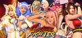 Costume Fighter Prices