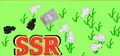 SSR Prices