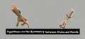 Hypotheses on the Symmetry between Vision and Hands Prices