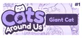 Cats Around Us: Giant Cat Prices
