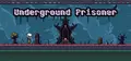 Underground Prisoner Prices