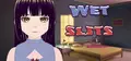 Wet Slits Prices