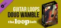 The Loop Loft - Doug Wamble Acoustic Guitar Loops