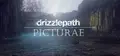 Drizzlepath: Picturae Prices