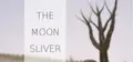 The Moon Sliver