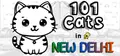 Hidden Pets: 101 Cats in New Delhi Prices