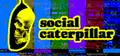 Social Caterpillar Prices