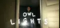 Owl Lights Prices
