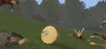 Cheese Rolling