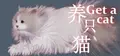 Get a cat Prices