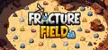 Fracture Field