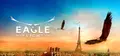 Eagle Flight Prices
