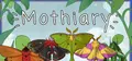 Mothiary Prices
