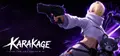 Karakage The Sky Shadow Prices