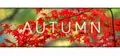Autumn Prices