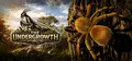 The Undergrowth