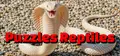 Puzzles Reptiles Prices