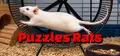 Puzzles Rats Prices