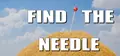 Find The Needle