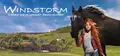 Windstorm: Start of a Great Friendship Prices