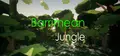 Barrimean Jungle Prices