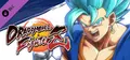 DRAGON BALL FighterZ - Vegito (SSGSS)