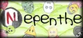 Nepenthe