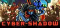 Cyber Shadow Prices