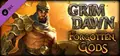 Grim Dawn - Forgotten Gods Expansion Prices
