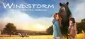 Windstorm: An Unexpected Arrival Prices