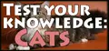 Test your knowledge: Cats Prices