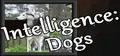 Intelligence: Dogs Prices
